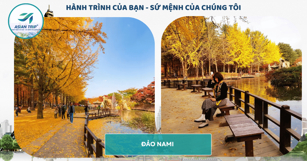 Tour Hàn Quốc: Seoul | Nami | Everland 1 DAO NAMI