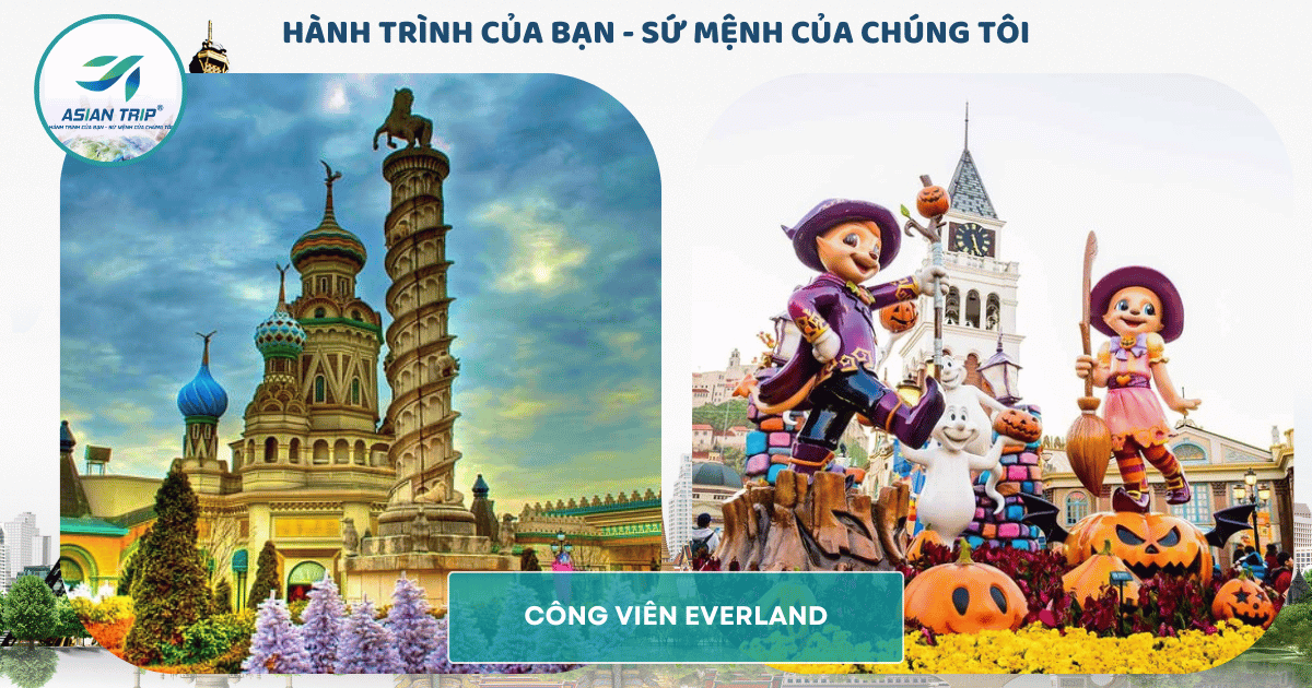 Tour Hàn Quốc: Seoul | Nami | Everland 3 cong vien everland