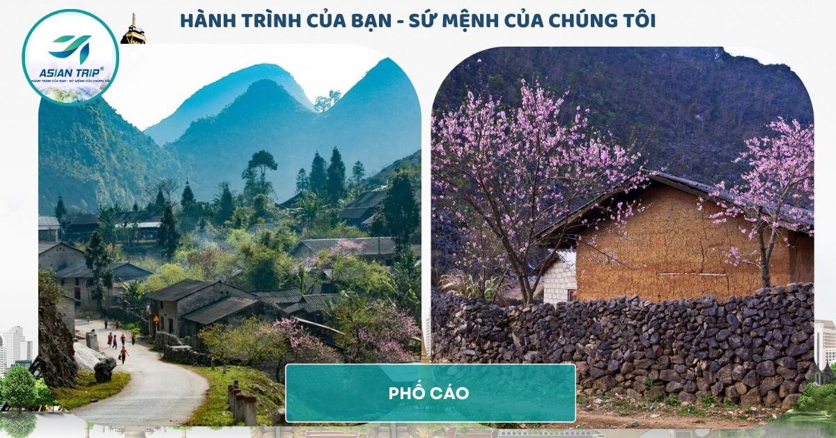 TOUR HÀ NỘI - HÀ GIANG - ĐỒNG VĂN - NHO QUẾ - 3 NGÀY 3 ĐÊM 5 Tour Hà Giang