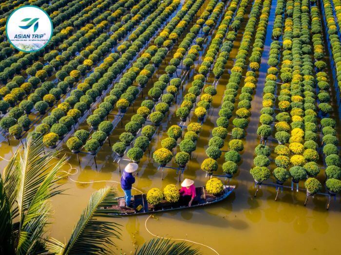 du lịch sa đéc 1 ngày