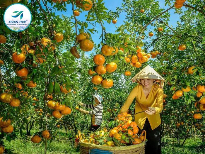 tour làng hoa sa đéc