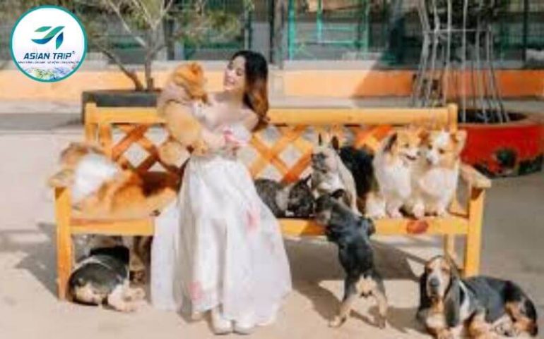Puppy Farm Đà Lạt