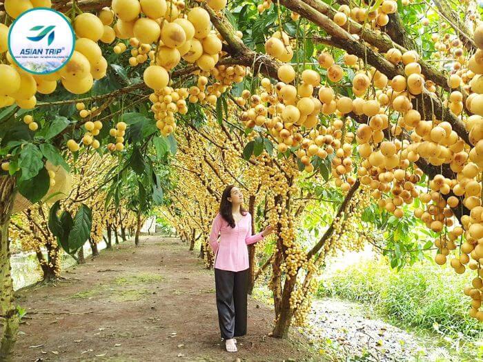 Tour Miền Tây 1 Ngày